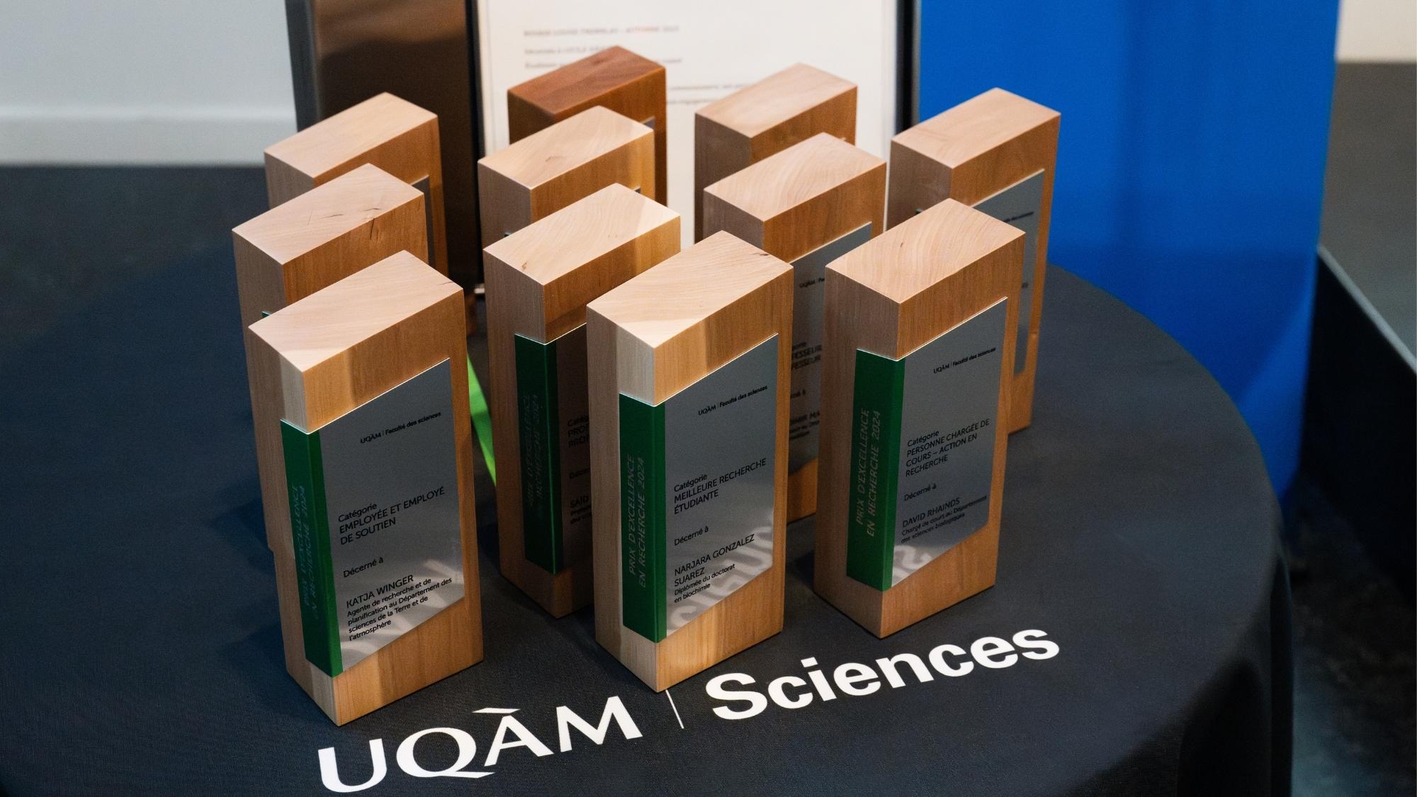 11 trophées de Prix d'excellence se trouvent sur une table